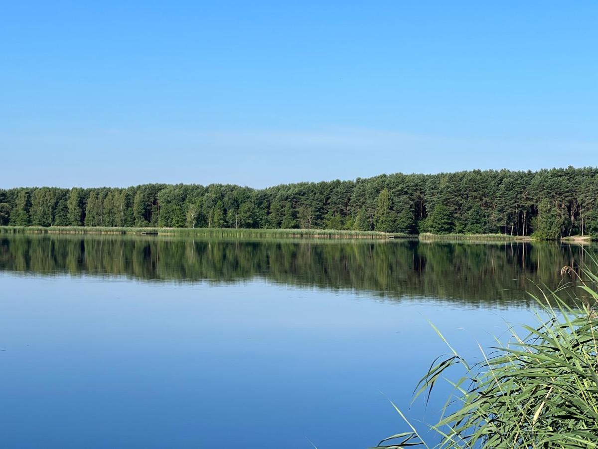 Apartment Family & Business Sauna No13 Lesny Nad Zalewem Cedzyna Unikat -3 Bedroom With Private Sauna, Bath With Hydromassage, Terrace, Garage, Catering Options *